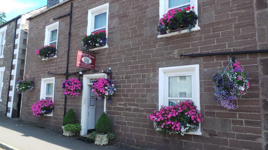 Comelybank Guesthouse クリフ エクステリア 写真