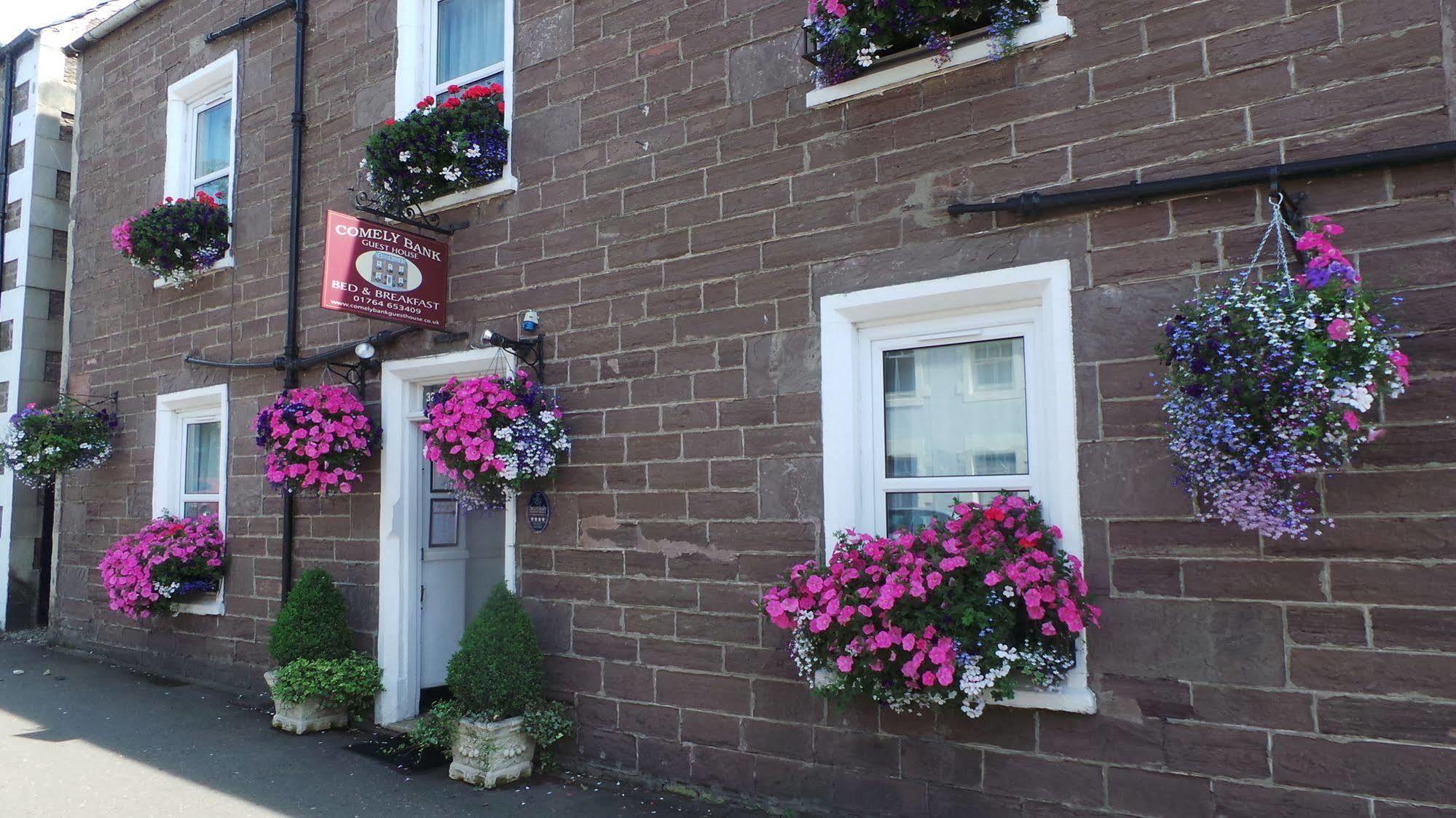 Comelybank Guesthouse クリフ エクステリア 写真